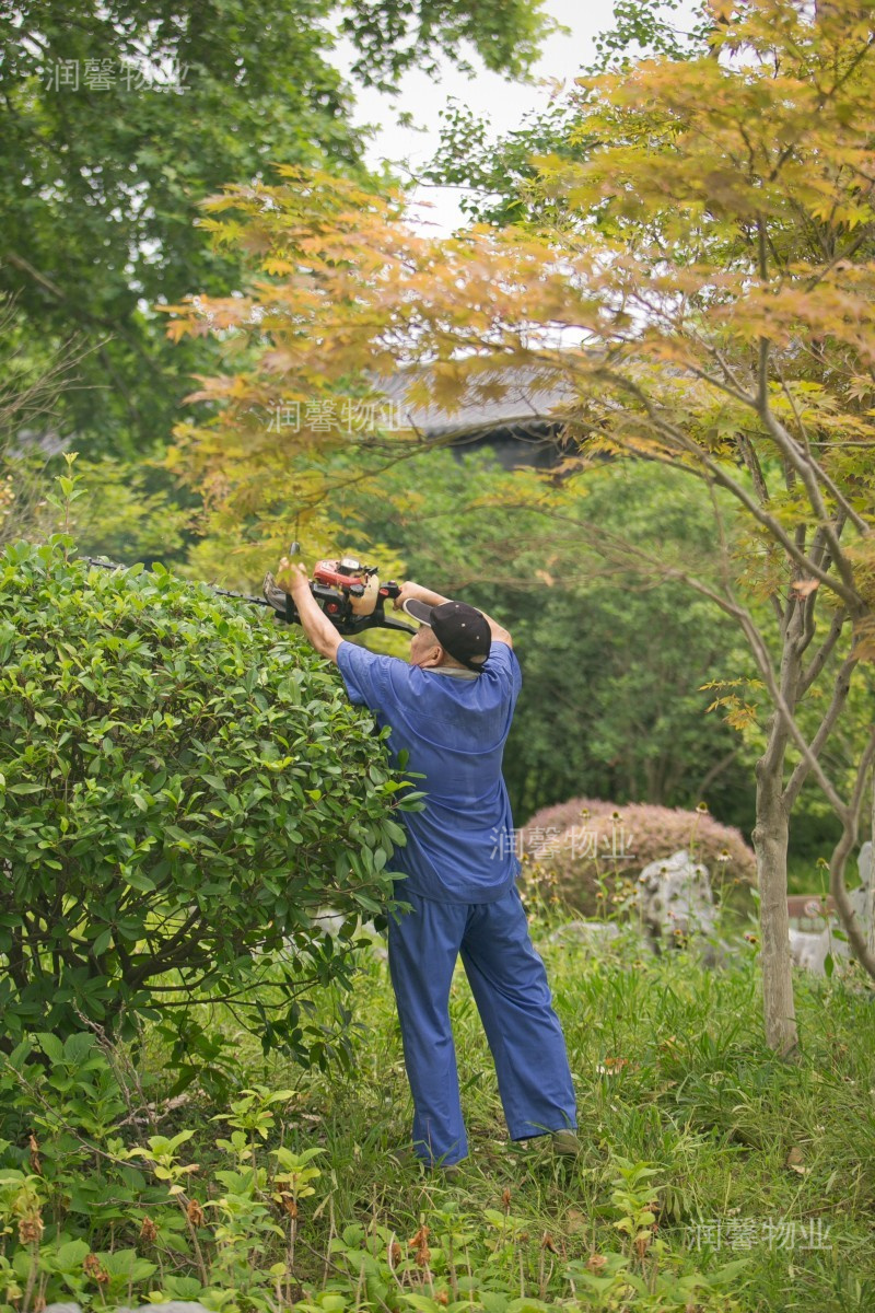 22年物業風采3